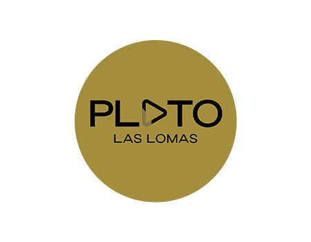 Logo Holset